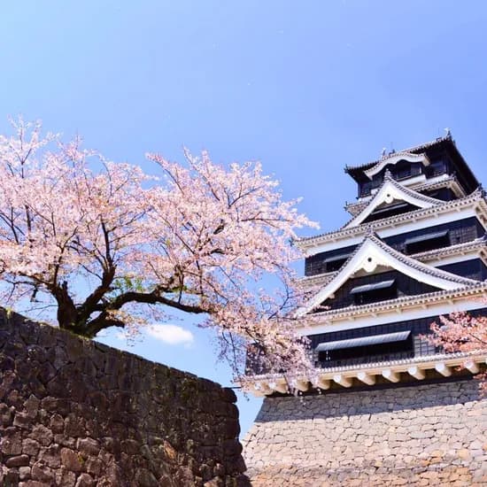 후쿠오카 자유여행 3일/4일 268,800원