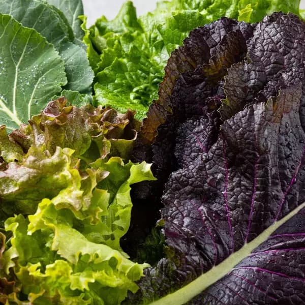 국내 모듬 샐러드 1kg 8900원 무배