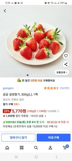 곰곰 설향 딸기 대과500g 5,770원!!!