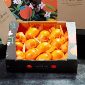 새코롬 레드향 2.6kg 선물세트 유클 22,900원