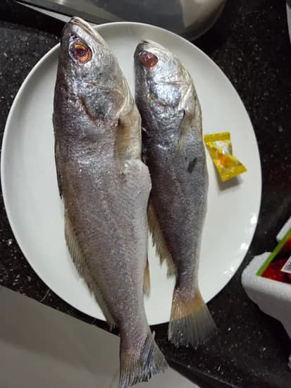 굴비 28cm 1.6kg 8미정도 26,010원