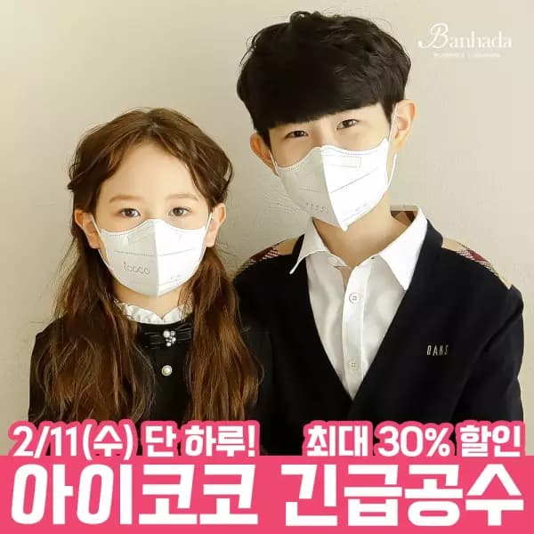 아이코코 KF94 새부리형 마스크 100매 33,900원 무배