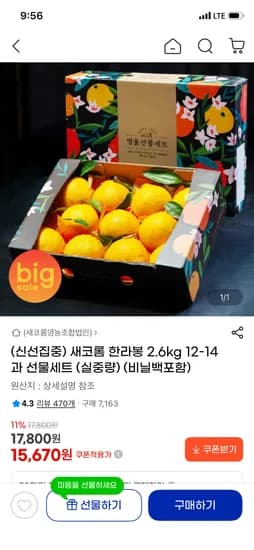 한라봉 2.6kg 선물세트 15,670원