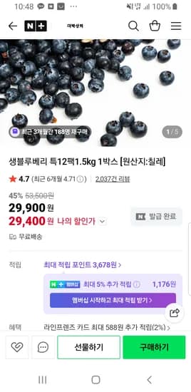 대박상회 생블루베리 125g 12팩 1.5kg 29400원 무배