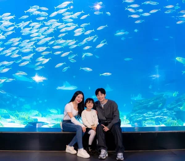 대구 아쿠아리움 입장권+위시캣 관람 패키지 14,500원