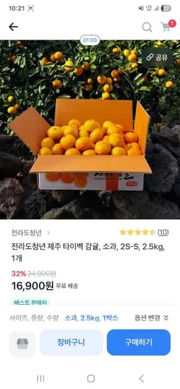 제주 타이벡 감귤 소과 2.5kg 1개 11,900 무배 초초핫딜 (쿠폰)