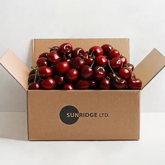생 체리 10.5~10R 500그램 1박스 9,800원 무배