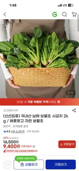 국내산 남해 보물초 시금치 2kg 9,400원