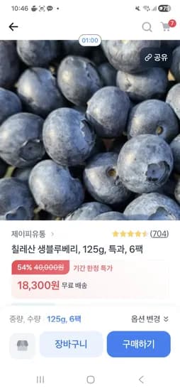 칠레산 생블루베리 125g 특과 6팩 18,300원 초핫딜
