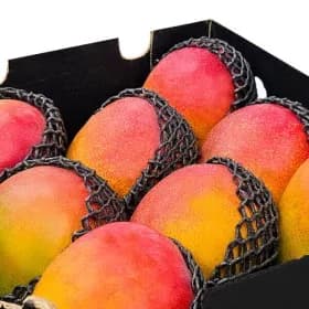 최상급 직수입 애플망고 4kg (8-12과) 29930원