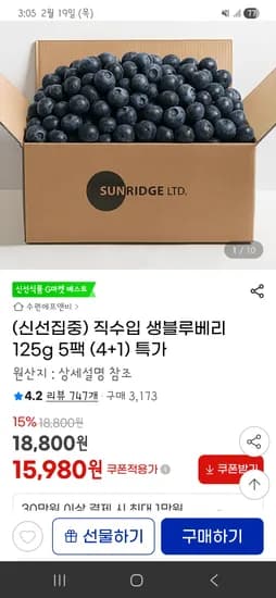 직수입 생블루베리 125그램 5팩 15,980원 무배