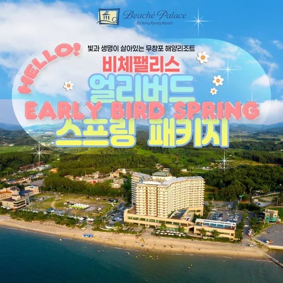 보령 비체팰리스 얼리버드 스프링 패키지 98,370원~