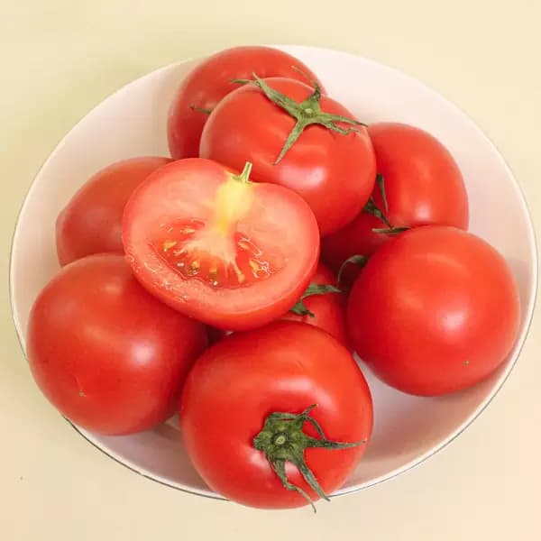 완숙토마토 주스용 사이즈 랜덤 5kg 14100원 무배