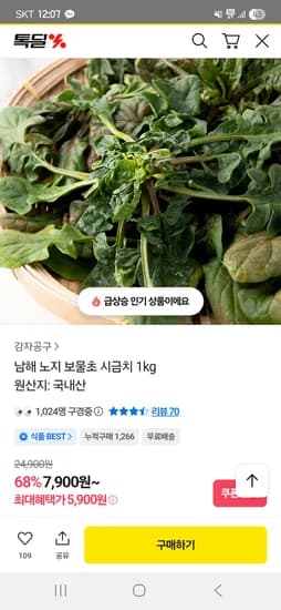 남해 노지 보물초 시금치 1kg 5,900원 무배