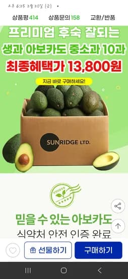 타임딜 후숙 잘되는 아보카도 중소과 10개 13,810원 무배