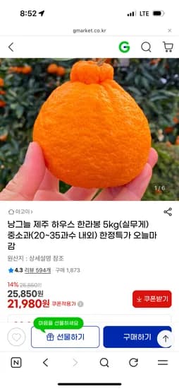 제주 한라봉 5kg 중소과 21,980원 무배