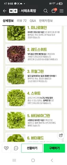 서해초록팜 유럽 샐러드 채소 6종이상 7,500원 무배