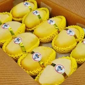 프리미엄 고당도 골드망고 4kg 28,860원