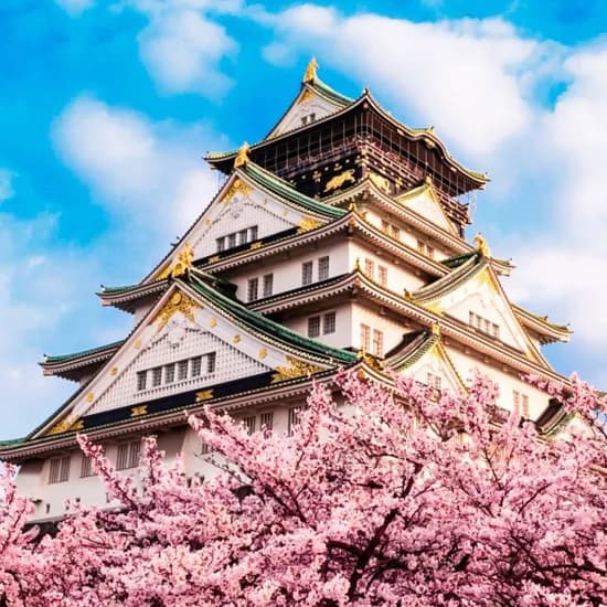 오사카 자유여행 3일/4일 신사이바시/유니버설 위치 호텔