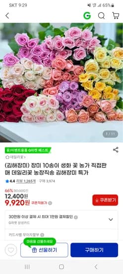 장미 10송이