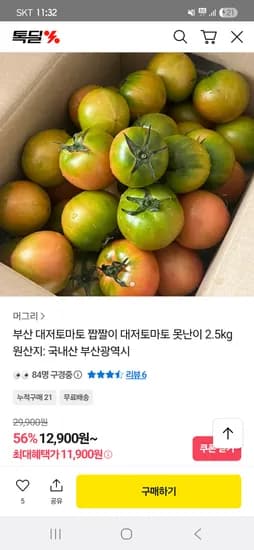 대저토마토 2.5kg 쥬스용