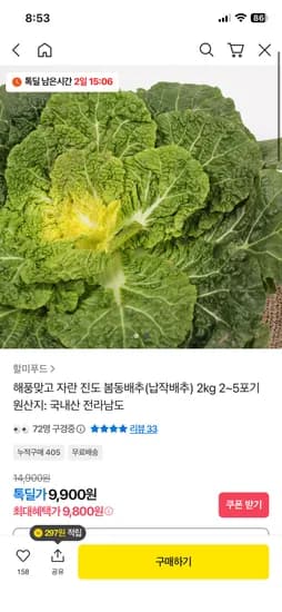 진도 노지 봄동배추 2kg 2~5포기