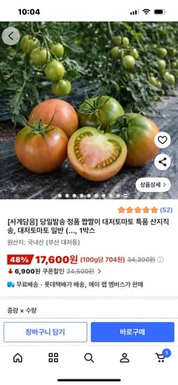 짭짤이 대저토마토 대과 2.5kg