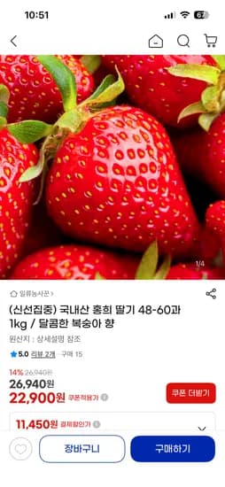 국내산 홍희 딸기 500g 700g 1kg