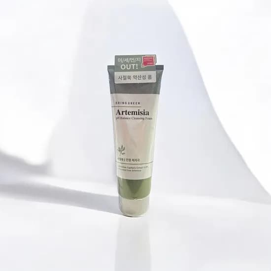 브링그린 사철쑥 약산성 클렌징폼 250mL 2개