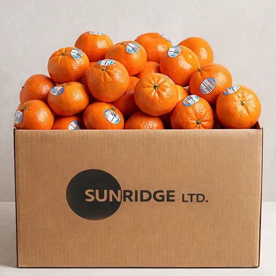 썬리지 만다린귤 2kg 미국 캘리포니아산