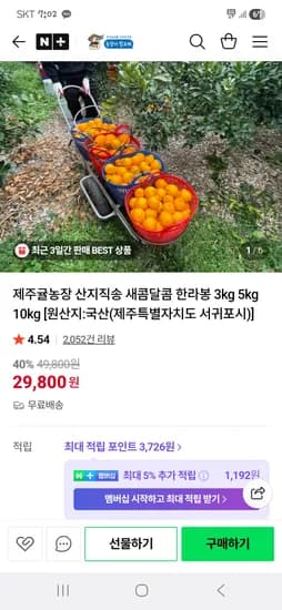 귤농장 한라봉 중소과 10kg