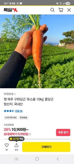 제주 햇 구좌당근 쥬스용 10kg