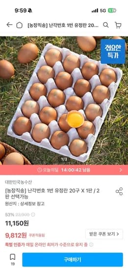 난각번호 1번 유정란 40구