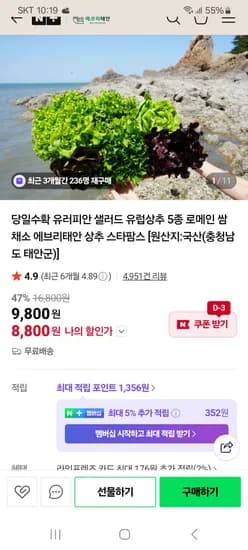 에브리태안 유러피안 샐러드 유럽상추 5종