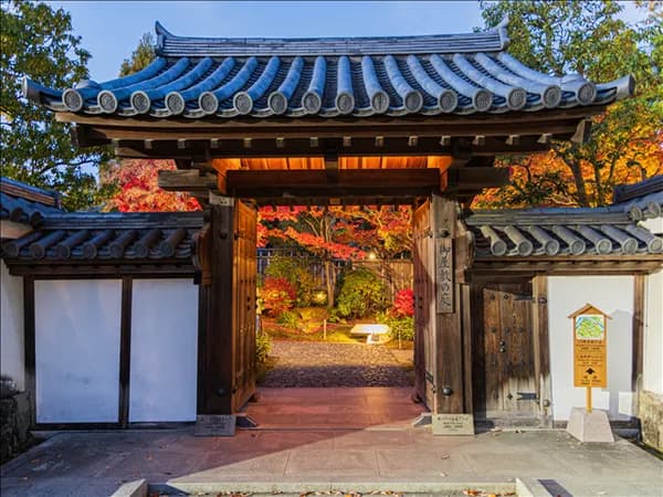 후쿠오카 구마모토 유후인 벳부 아소 3일