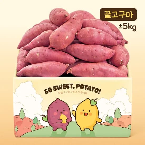 맛젤 달콤꾸덕 꿀고구마 특사이즈 5kg