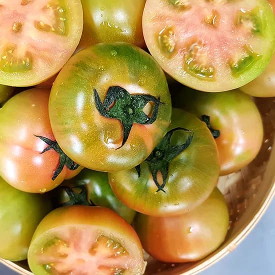 푸드강산 부산 대저 토마토 대과 L과 2.5kg