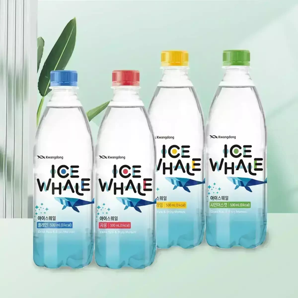 광동 아이스웨일 탄산수 500ml 40개