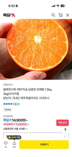 제주직송 달콤한 천혜향 1.5kg