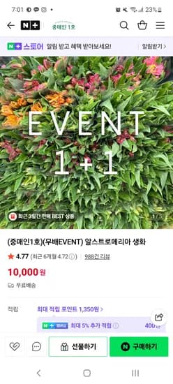 알스트로메리아 생화 1+1 이벤트