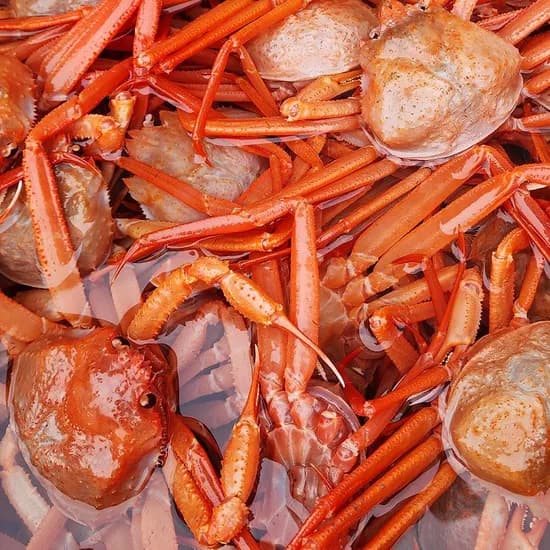 구룡포 연지홍게 A급 5kg