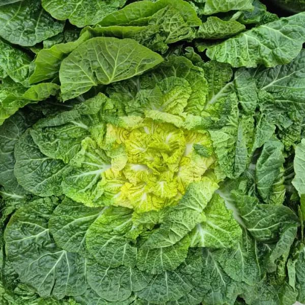 수정할 상품 제목 텍스트를 입력해 주세요.