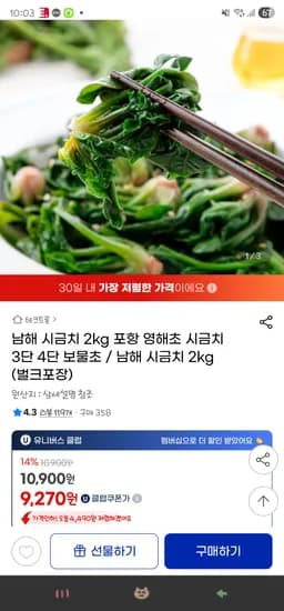 남해 시금치 2kg 벌크포장