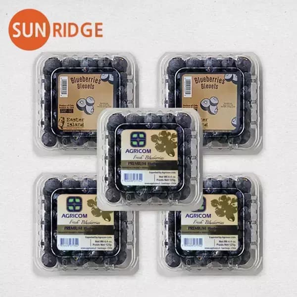 칠레 생 블루베리 125g 5팩