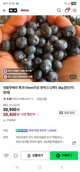 또드림마켓 생블루베리 125g 12팩