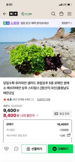 에브리태안 유러피안 샐러드 당일수확 유럽상추 5종