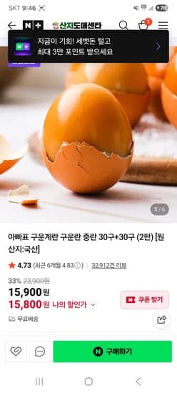 아빠표 구운계란 중란 60구