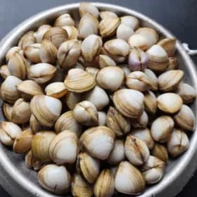 국내산 동죽 2kg 칼국수 2팩