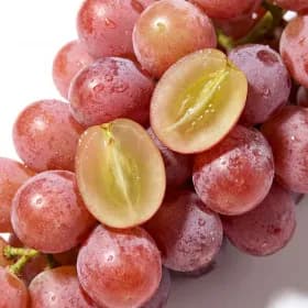 고당도 신품종 캔디포도 1kg