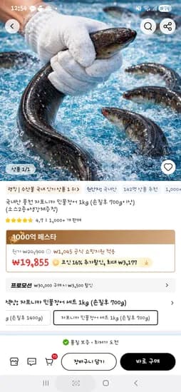 국내산 풍천 자포니카 민물장어 1kg 손질후 700g이상 소스 2종 생강채 증정